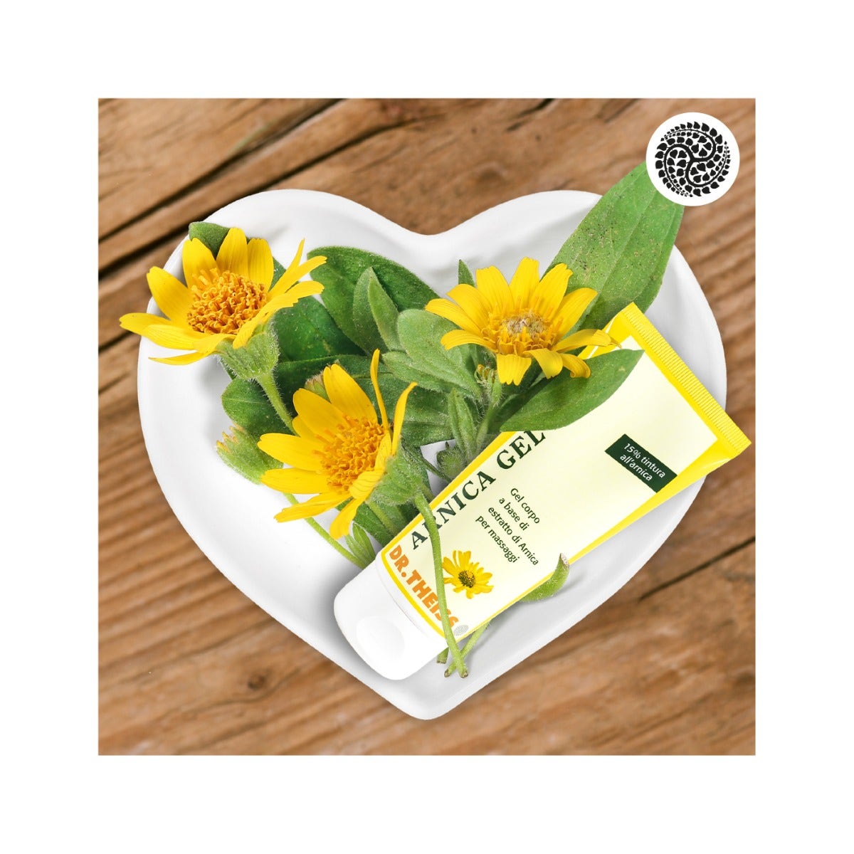 Dr Theiss Arnica Gel Forte 100ml-7