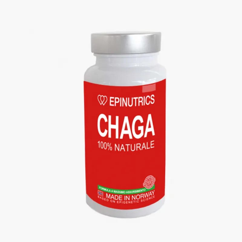 Epinutrics Epi Chaga 60 Capsule-2