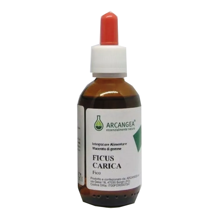 Arcangea Ficus Carica Bio 33 Gradi Gemmoderivato 100ml-2