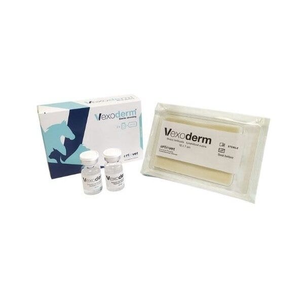 Bfactory Vexoderm Medicazione Sterile 10x7cm + 2 Fiale 10ml-2