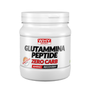 Whysport Glutammina Peptide Zero Carb Pesca 330g-1