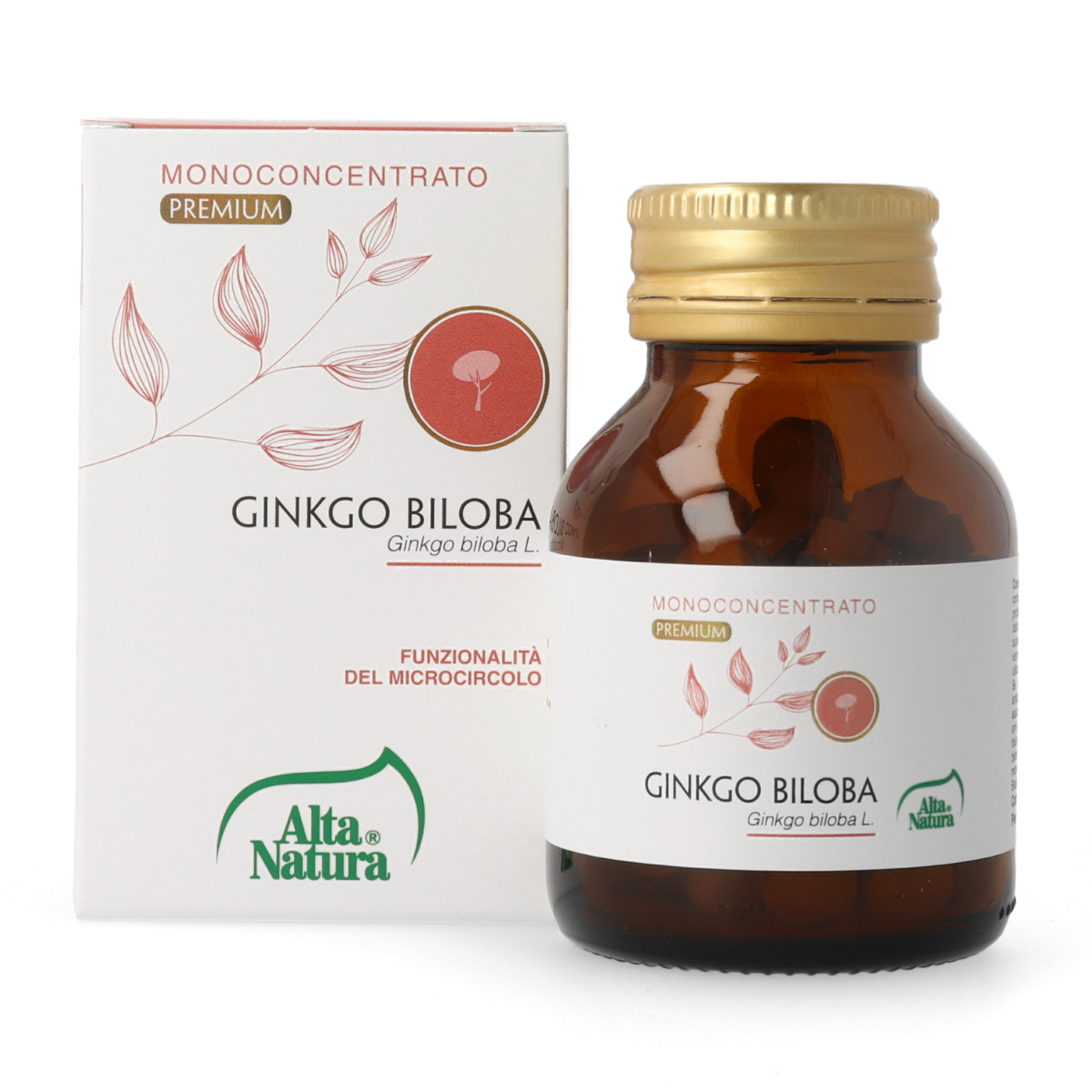 Alta Natura Ginkgo Biloba 100 Compresse-1