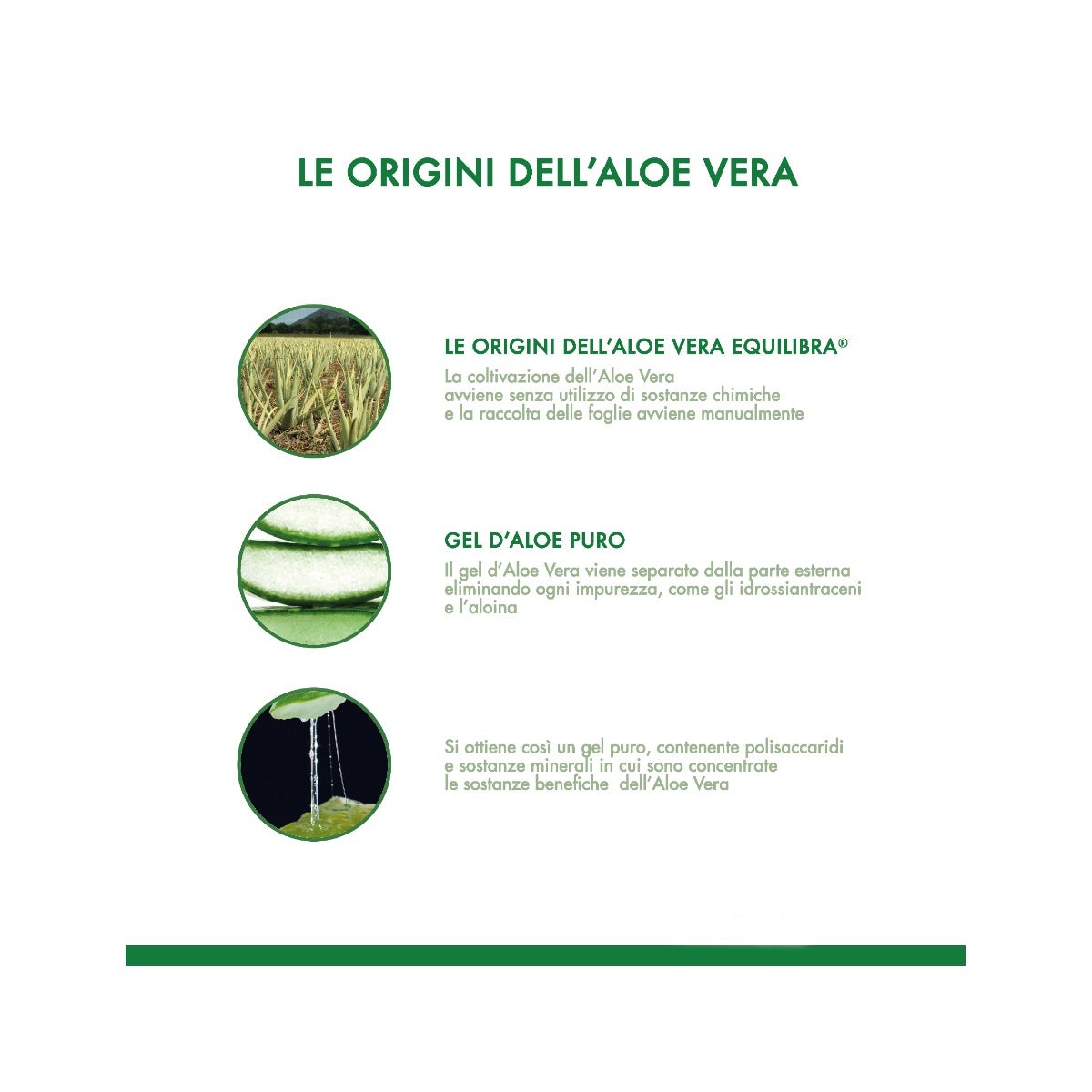 Equilibra Aloe Vera Slim 500ml-14