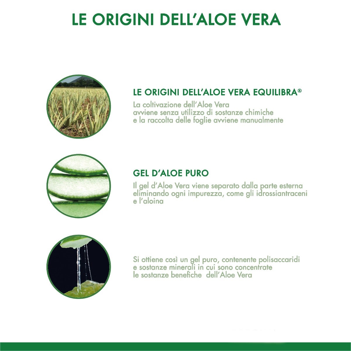 Equilibra Buon Aloe Vera 500ml-4