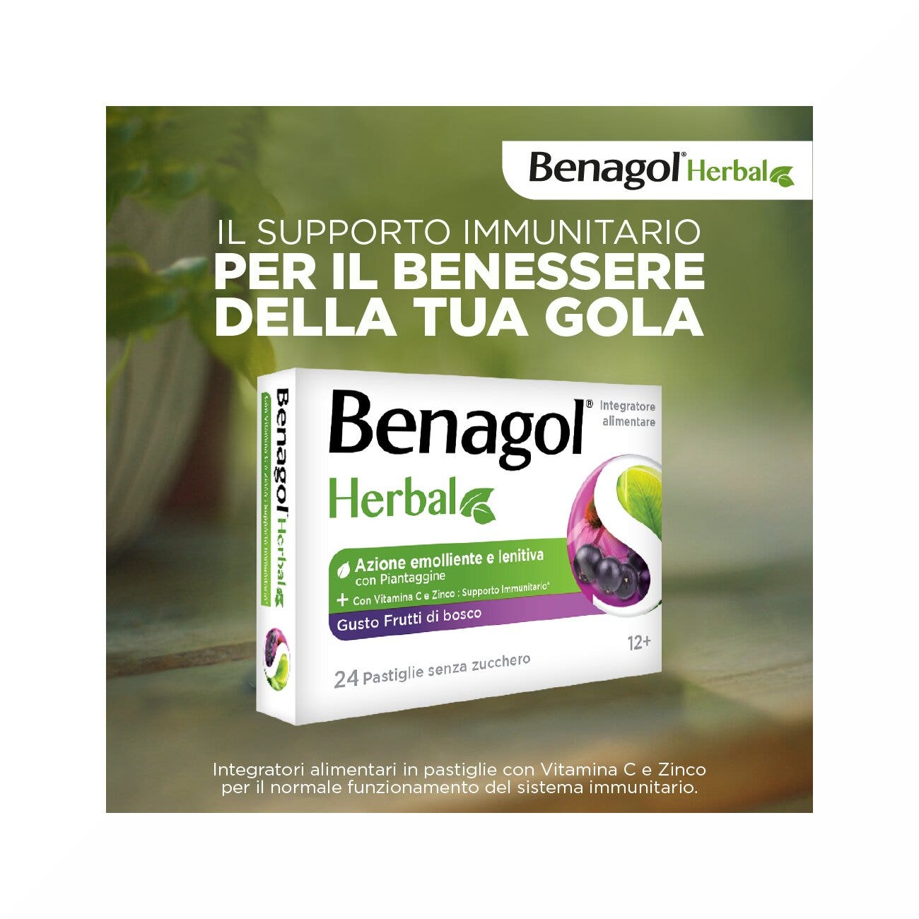 Benagol Herbal Gusto Frutti Di Bosco 24 Pastiglie-2