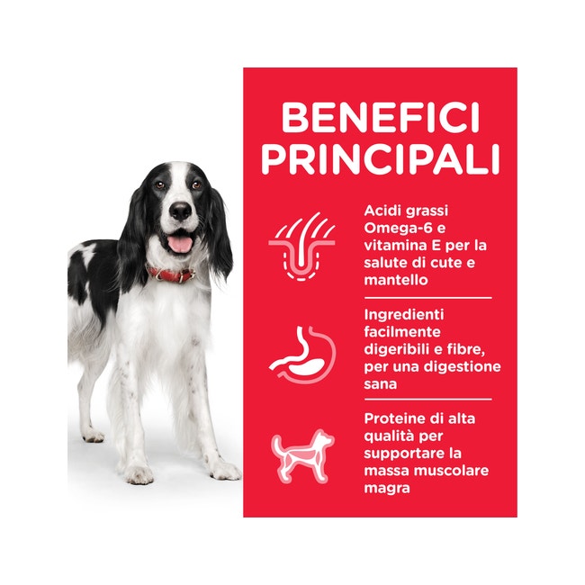 Hill's Science Plan Bocconcini Manzo Per Cani Adulti 370g-3