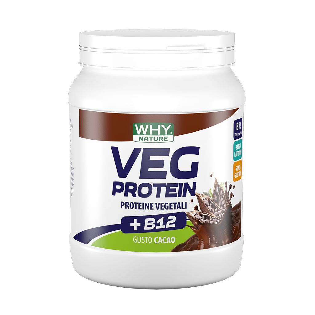 Whynature Veg Protein Cacao 450g-1