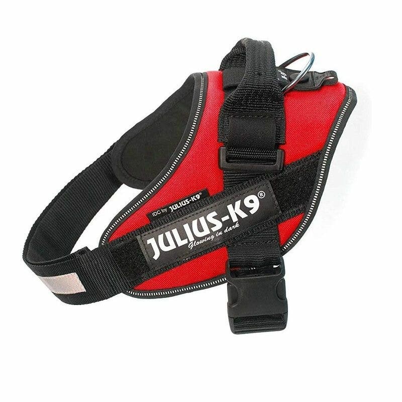 JULIUS K9 IDC Powerharness pettorina per cani colore rosso taglia 2-1