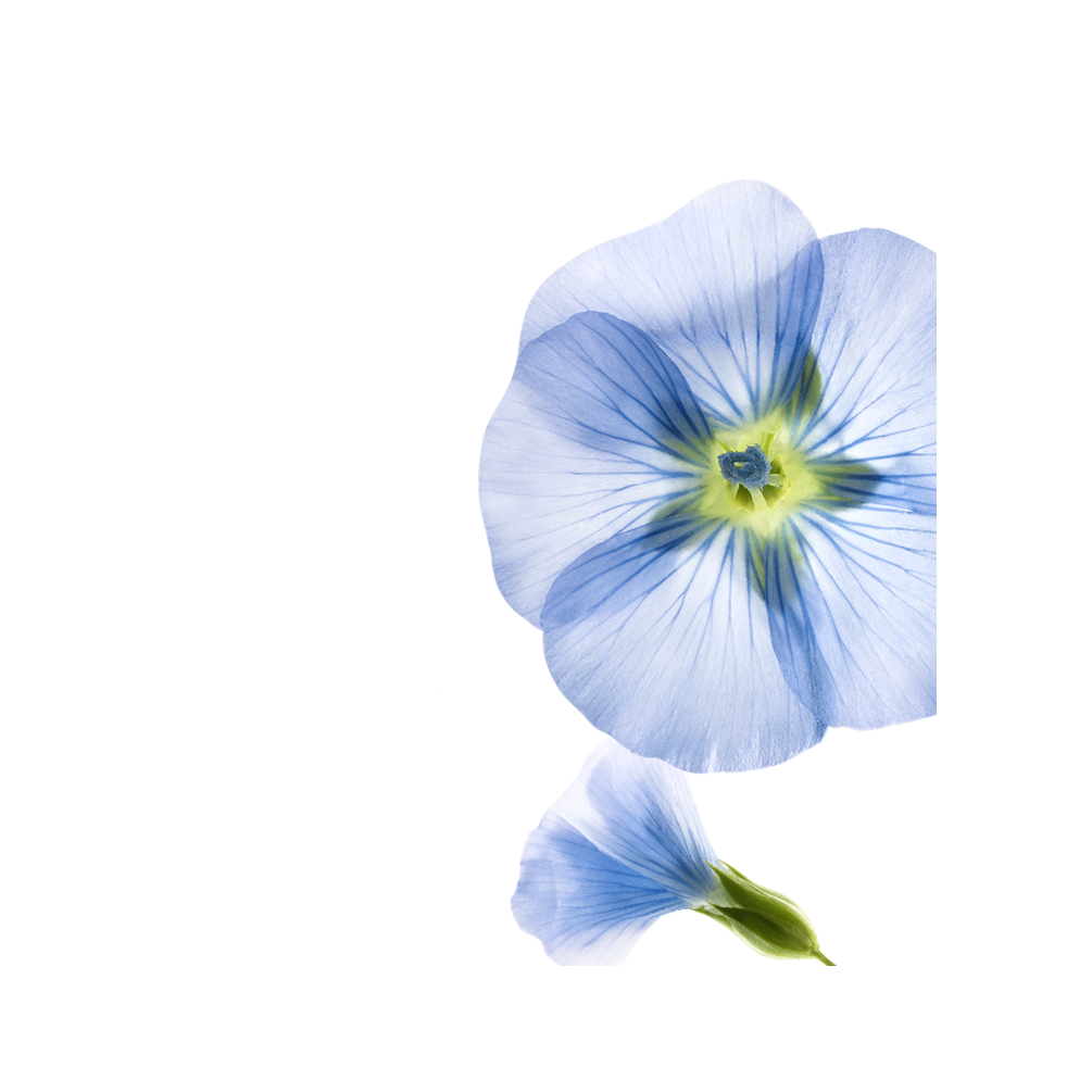 Klorane Shampoo Secco Volume Al Lino Bio 50ml-7