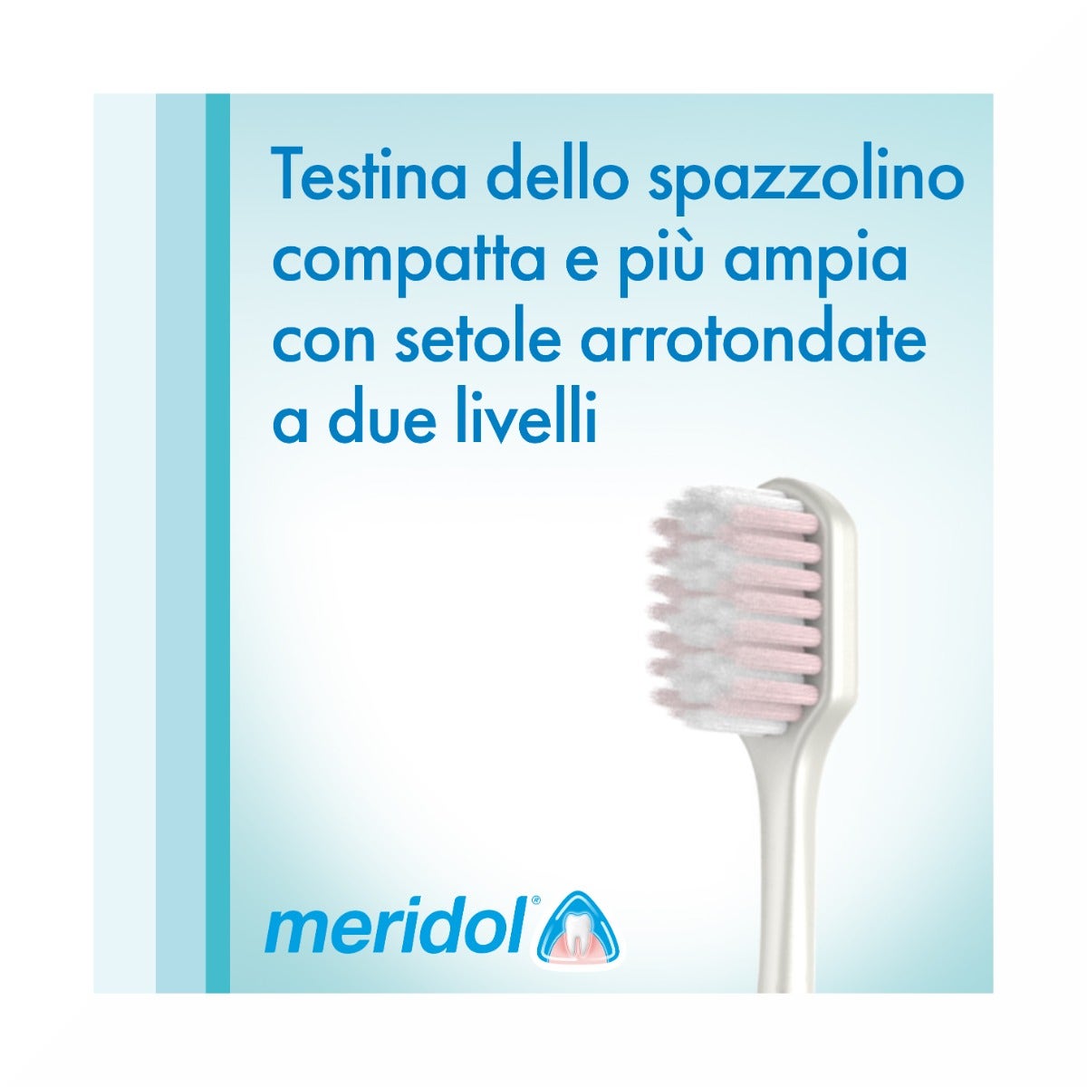 Meridol Spazzolino Morbido Protezione Completa 1 Pezzo-12