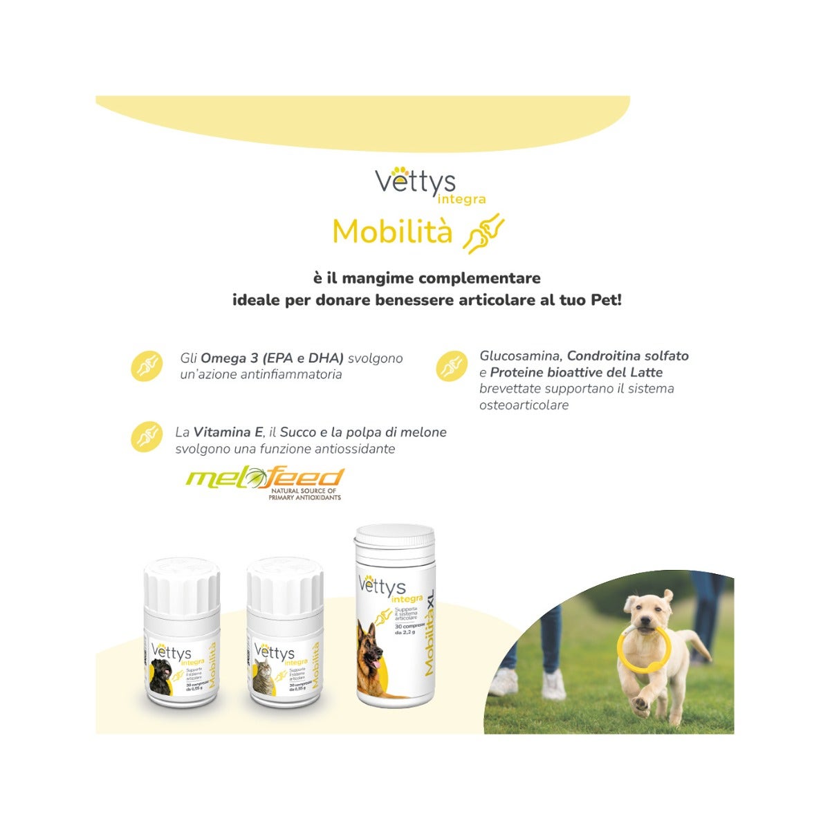 Vettys Integra Mobilità Per Cani 30 Compresse-4