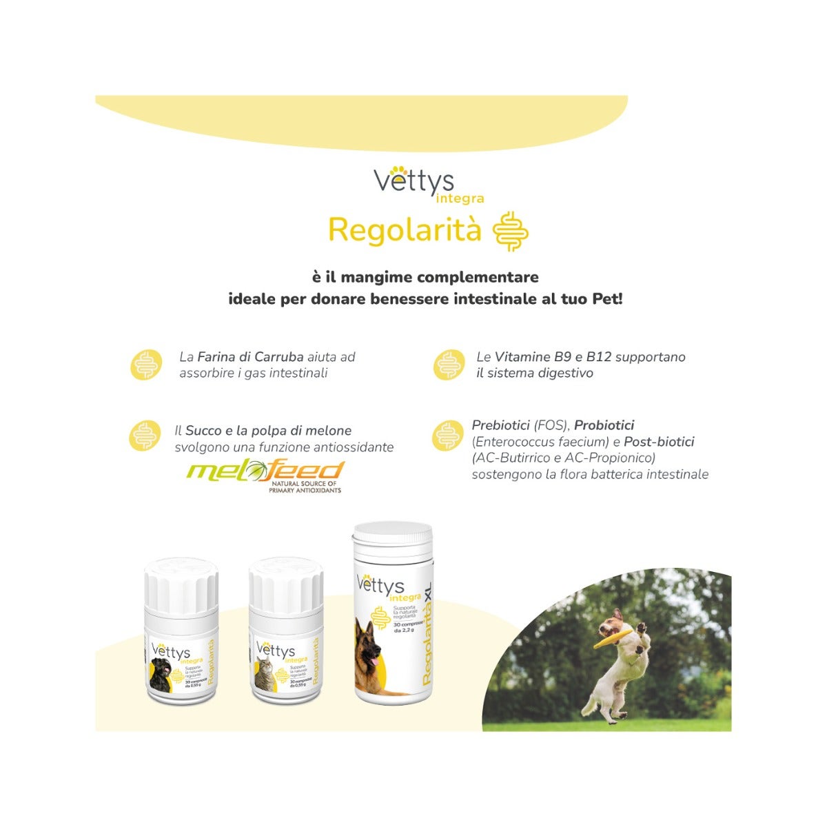 Vettys Integra Regolarità Per Gatti 30 Compresse-4