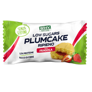 Whynature Plumcake Ripieno Fragola 50g-1
