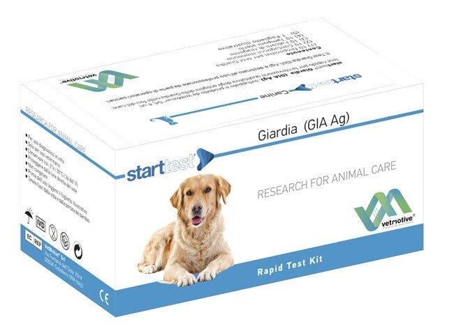 VetMotive Start Test Giardia (GIA Ag) 10 Kit Test-2