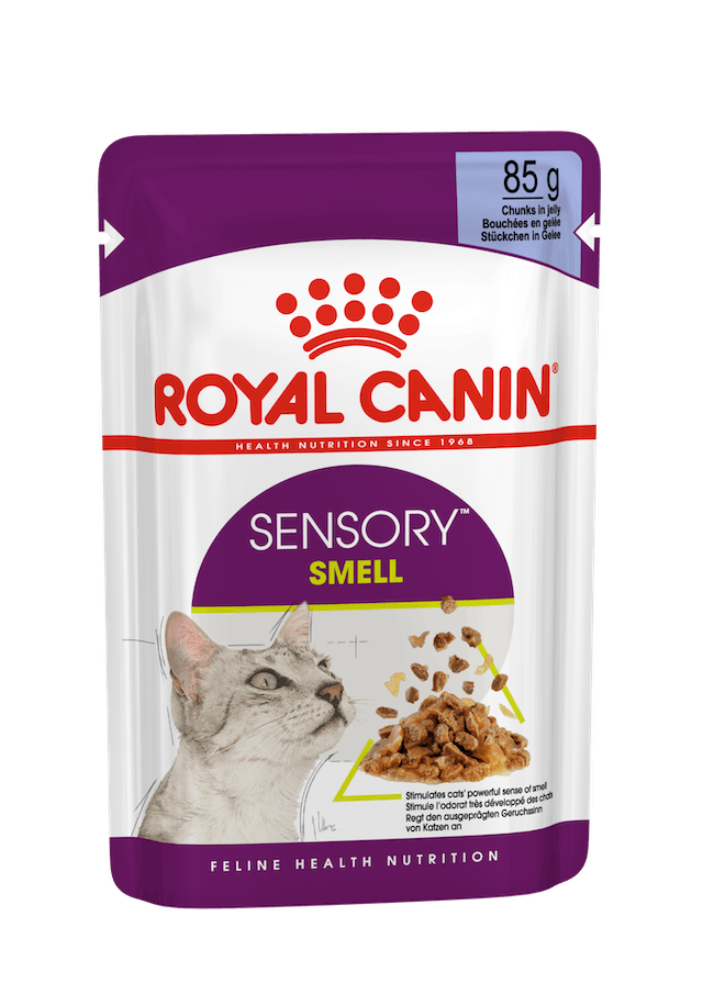 Royal Canin Sensory Smell Bocconcini IN Gelatina Per Gatti Adulti Bustina 85g-1