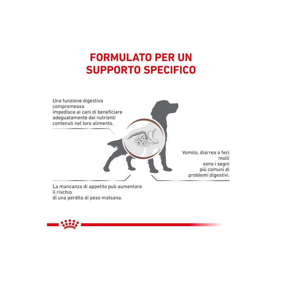 Royal Canin Veterinary Diet Gastrointestinal Cibo Secco Per Cani Adulti Sacco 2kg-4