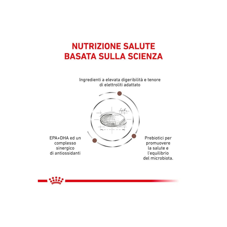 Royal Canin Veterinary Diet Gastrointestinal Cibo Secco Per Cani Adulti Sacco 7,5kg-3