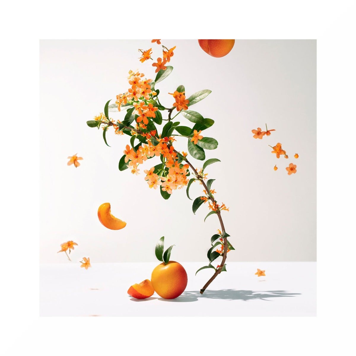 Roger & Gallet Fleur D'Osmanthus Acqua Profumata Di Benessere 30ml-2