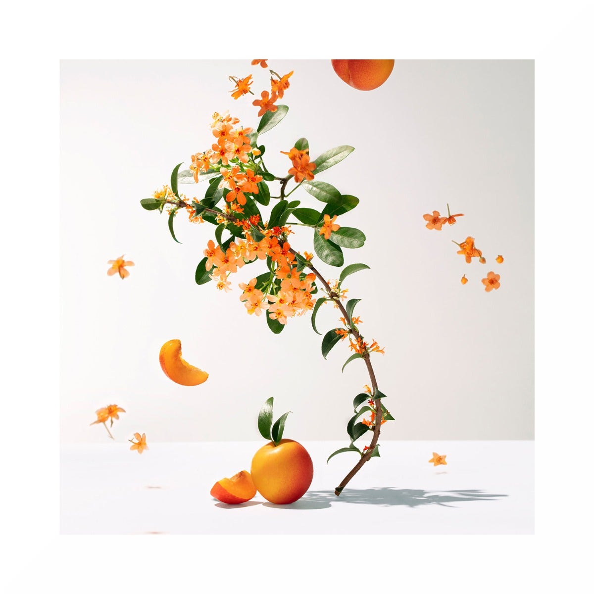 Roger & Gallet Fleur D'Osmanthus Gel Doccia Di Benessere 200ml-2