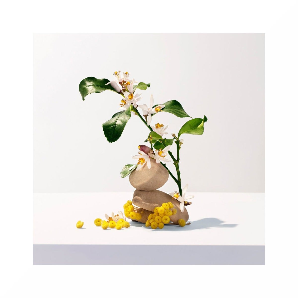 Roger & Gallet Neroli Gel Doccia Di Benessere 200ml-2