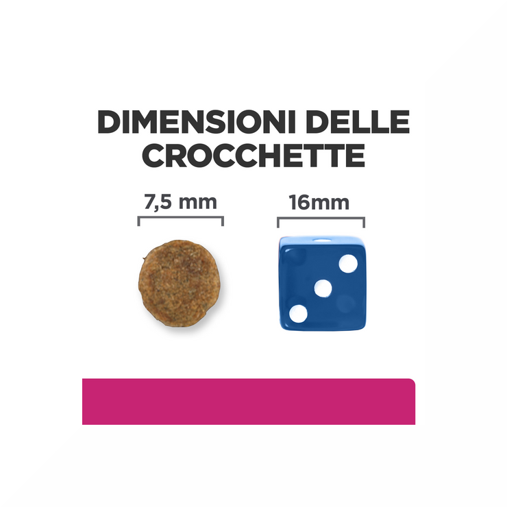 Hill's Prescription Diet Gastrointestinal Biome Crocchette per Cani Taglia Piccola Sacco Da 1 Kg-2