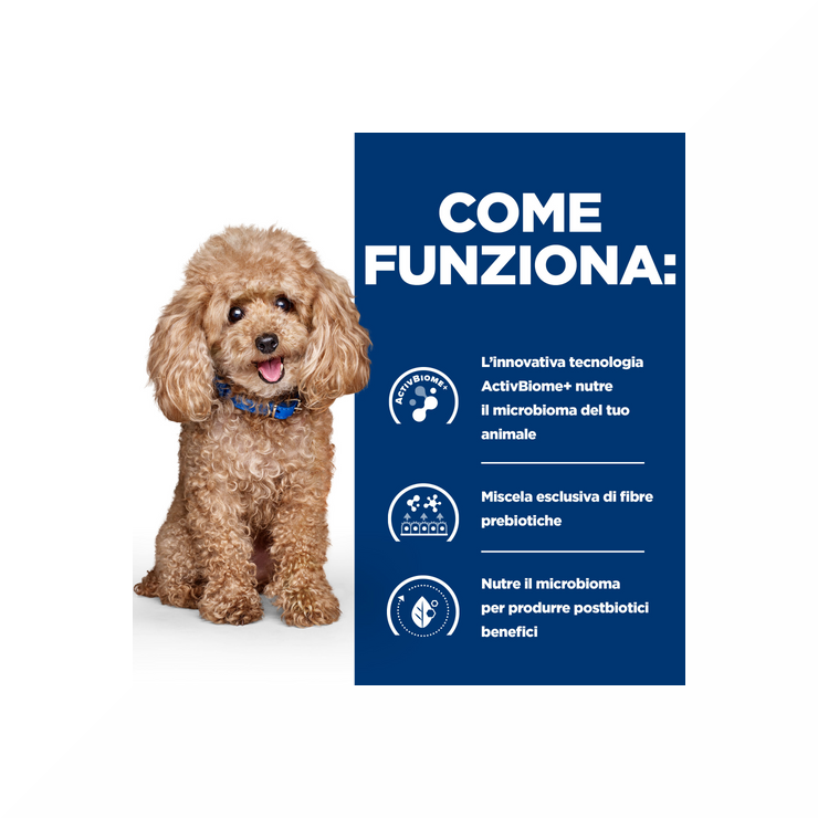 Hill's Prescription Diet Gastrointestinal Biome Crocchette per Cani Taglia Piccola Sacco Da 1 Kg-4