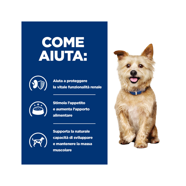Hill's Prescription Diet K/D Salute Dei Reni Crocchette Per Cani Sacco 1,5 Kg-3