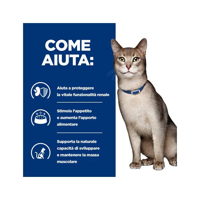 Hill's Prescription Diet K/d Alimento Per Gatti Con Tonno 3kg-3