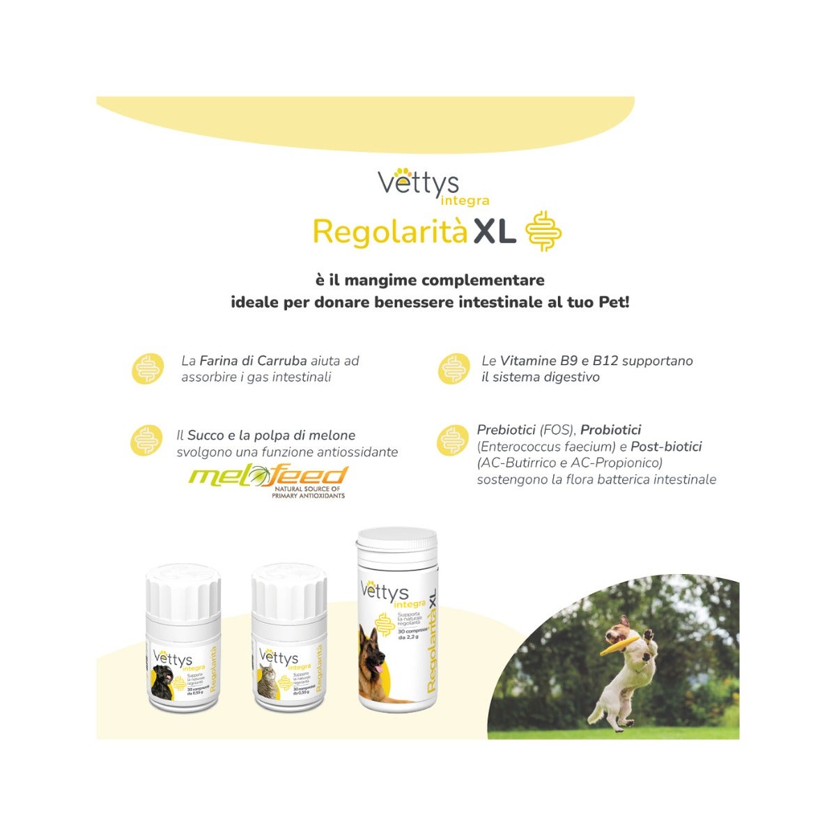 Vettys Integra Regolarità Per Cani Taglia XL 30 Compresse-3