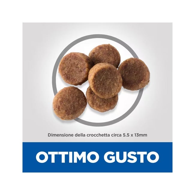 Hill's Science Plan Large Breed Puppy Crocchette Con Pollo Per Cuccioli Sacco 2,5 Kg-4