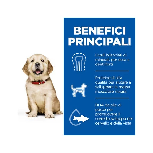Hill's Science Plan Large Breed Puppy Crocchette Con Pollo Per Cuccioli Sacco 2,5 Kg-5