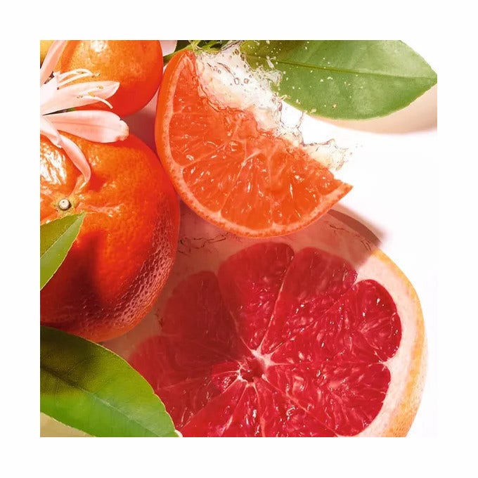 Roger & Gallet  Jean Marie Farina Saponetta Profumata 100 g-4