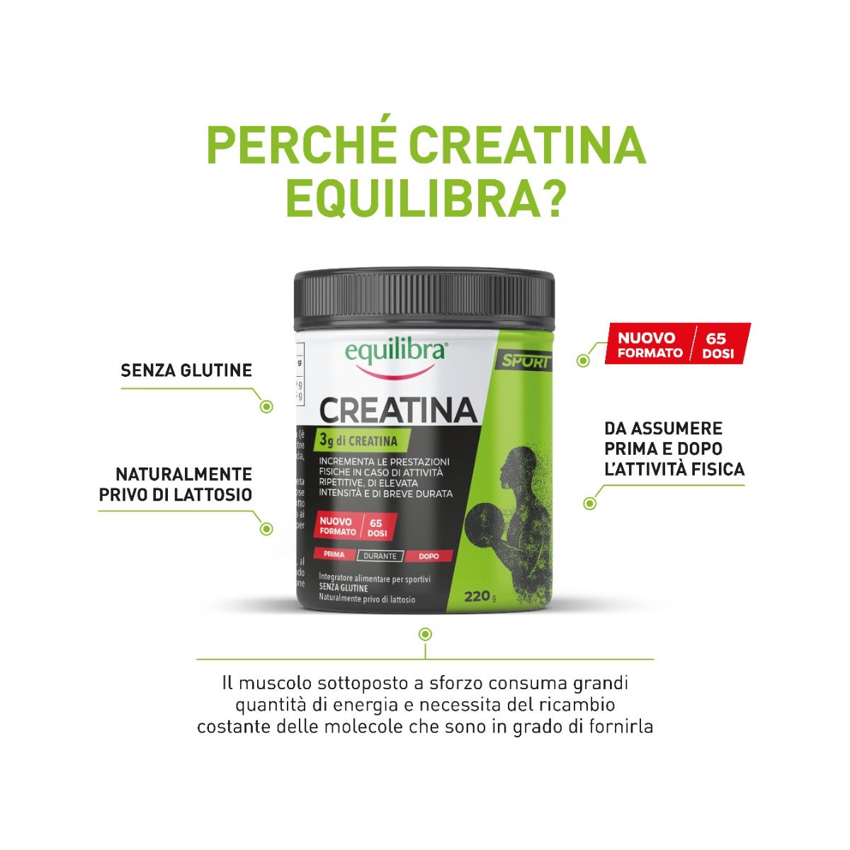 Equilibra Creatina Integratore 220g-4