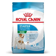 Royal Canin Mini Starter Mother & Babydog Crocchette Per Cagne/Cuccioli Taglia Piccola Sacco 8kg-1