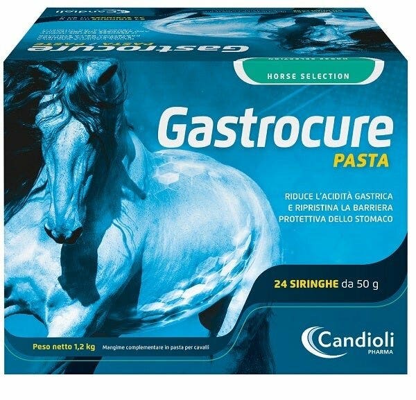 Candioli Gastrocure Pasta Per Cavalli 24 Siringhe Da 50g-2