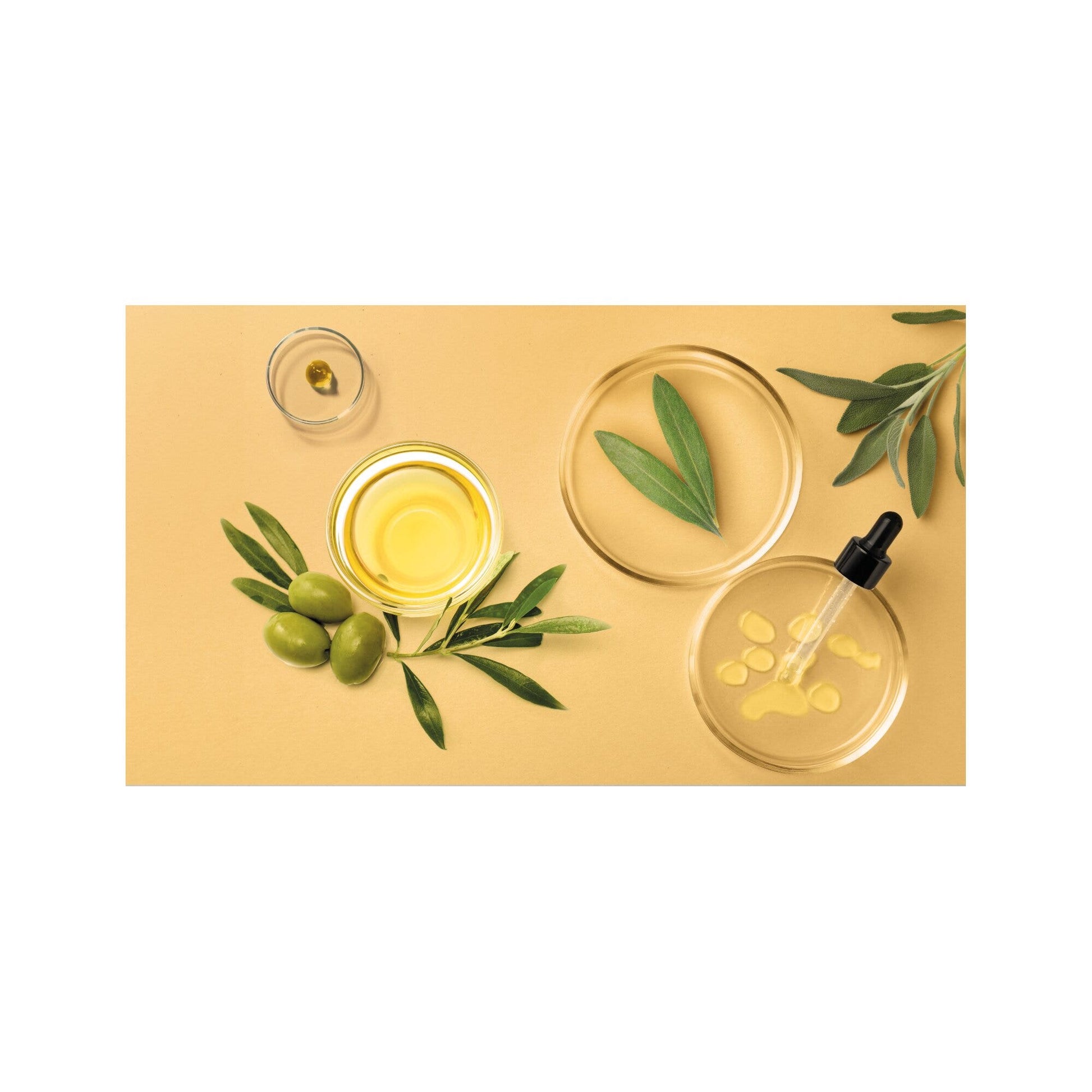 Herbatint Repair Shampoo Riparatore 260ml-6