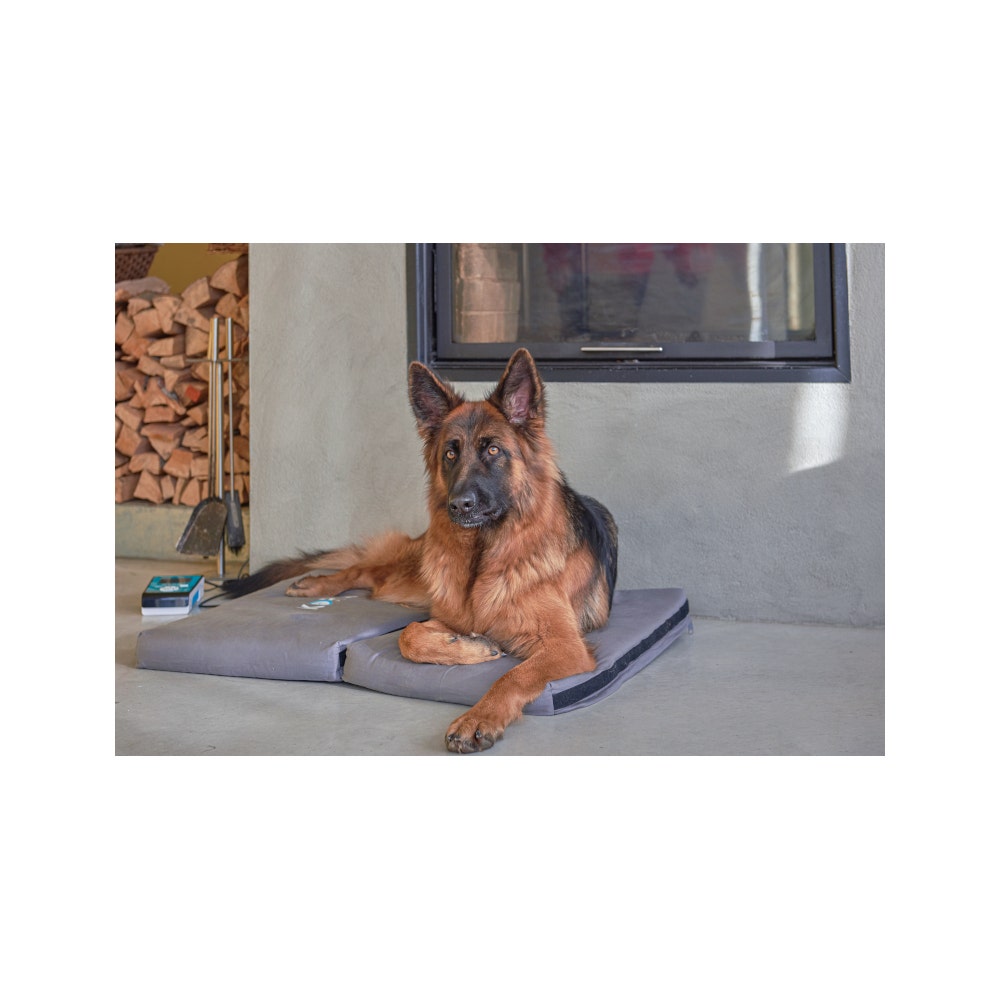 Kora Kit Base Magnetoterapia Cani/Gatti-6