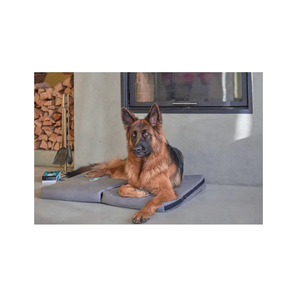 Kora Kit Base Magnetoterapia Cani/Gatti-6