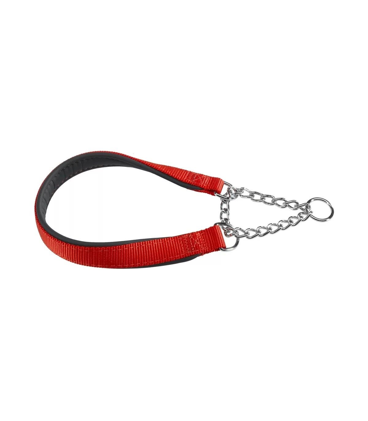 Ferplast Daytona CSS Collare Semistrangolo Nylon Soffice Imbottitura Rosso Per Cani CSS25/60-1