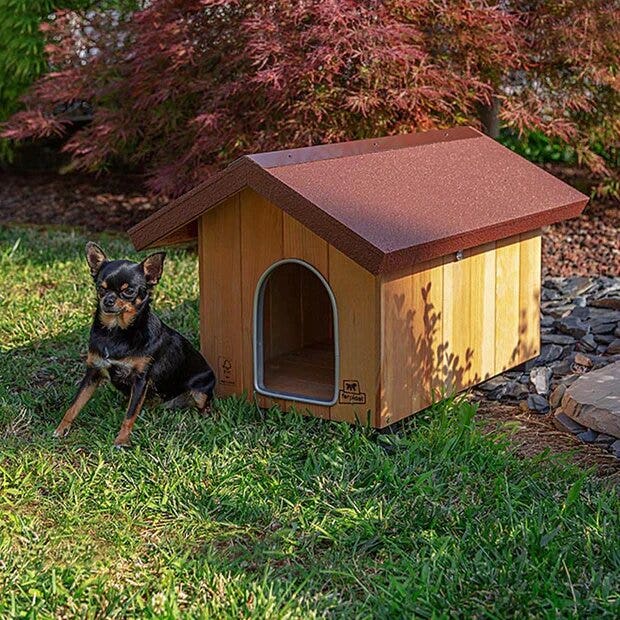 Ferplast Domus Cuccia In Legno Di Pino Nordico Mini-1