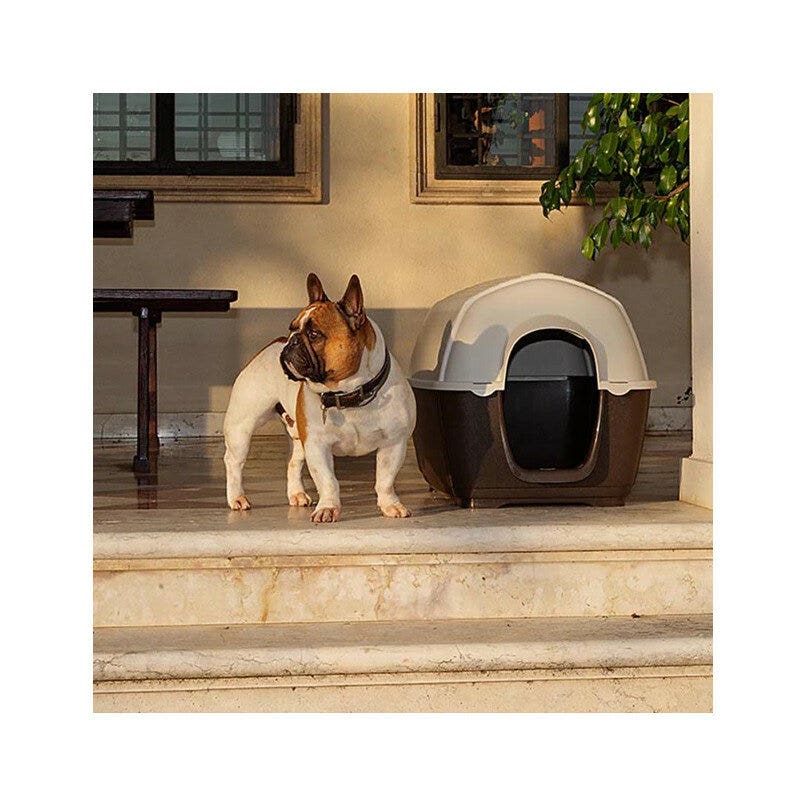 Ferplast Kenny Cuccia In Resina Termplastica Per Cani 50x78xh50cm-4