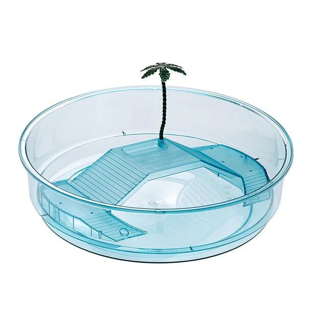 Ferplast Oasi Azzurra Vaschetta Di Plastica Per Piccole Tartarughe-1