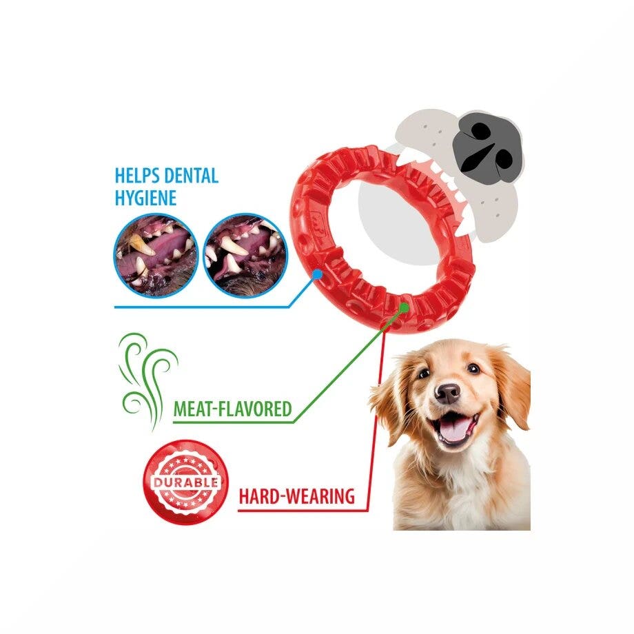 Ferplast Smile Ring Gioco Dentale Anello Taglia Medium Rosso Per Cani-4