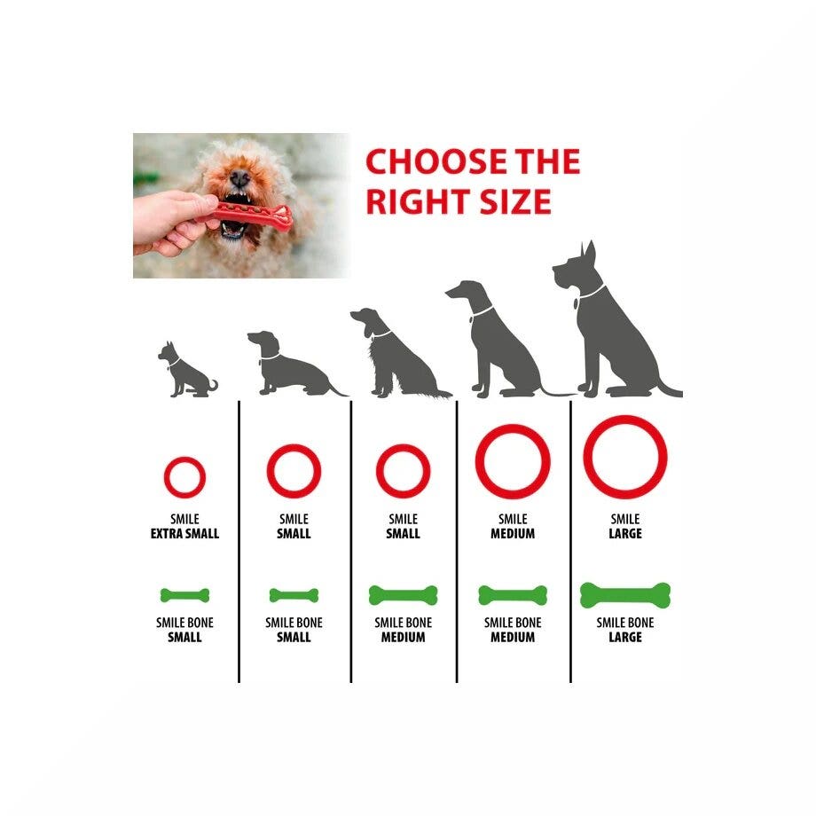 Ferplast Smile Ring Gioco Dentale Anello Taglia Medium Rosso Per Cani-2