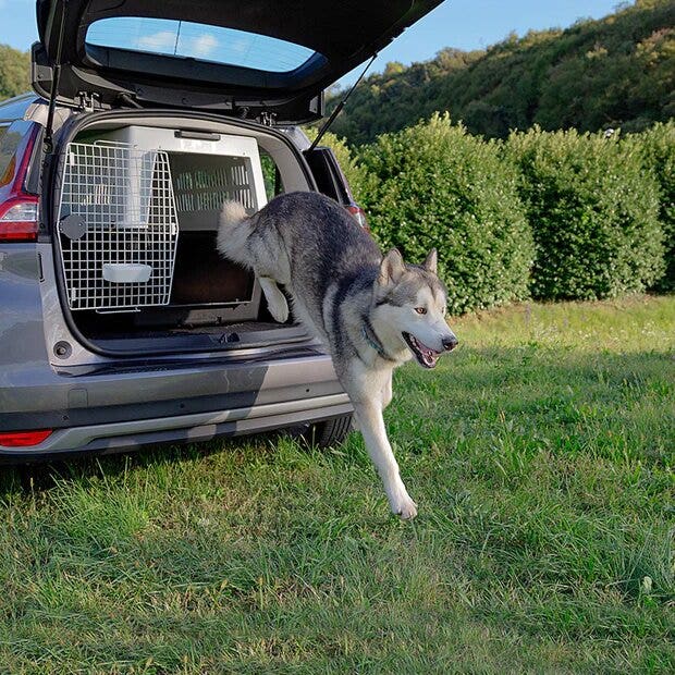 Ferplast Atlas 70 Trasportino-4