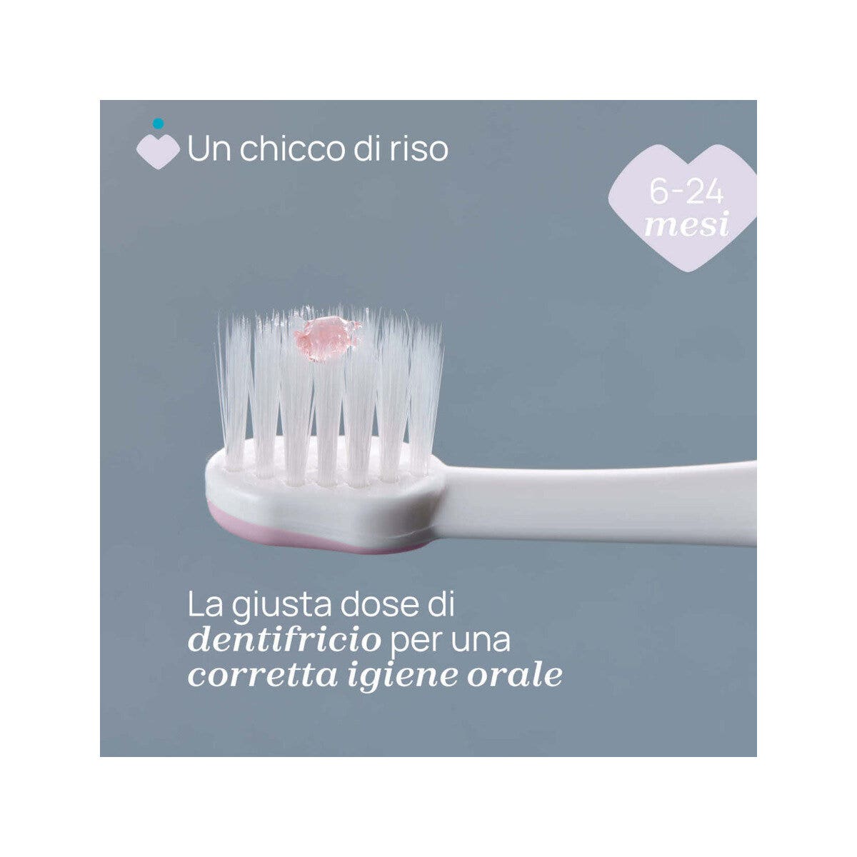 Chicco Spazzolino Primi Denti 6-36 Mesi Lilla 1 Pezzo-2