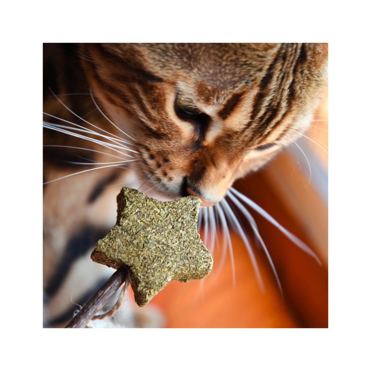 Croci Euphoria Stick Stella Con Catnip 12cm-3