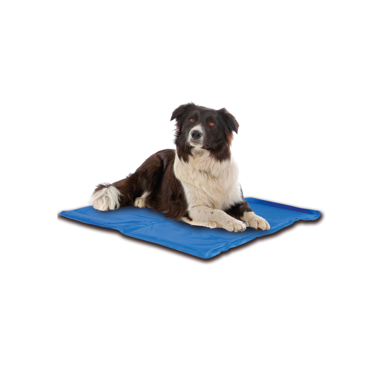 Croci Tappetino Rinfrescante Per Cani Fantasia Breeze Tropical 65 x 50cm-1