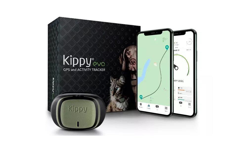 Kippy EVO Green Forest GPS Con Activity Tracking Per Cani E Gatti-2