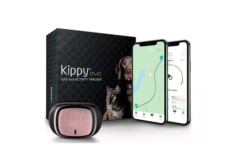 Kippy EVO Pink Petal GPS Con Activity Tracking Per Cani E Gatti-4